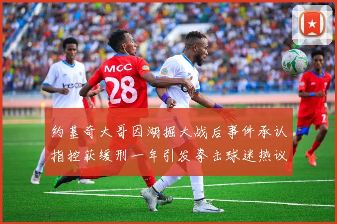 约基奇大哥因湖掘大战后事件承认指控获缓刑一年引发拳击球迷热议
