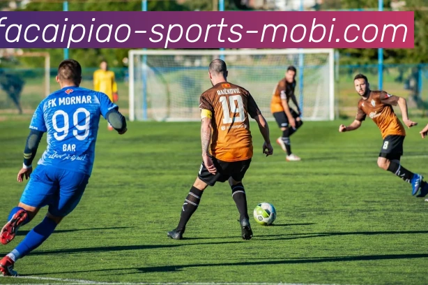 大发彩票服务体系